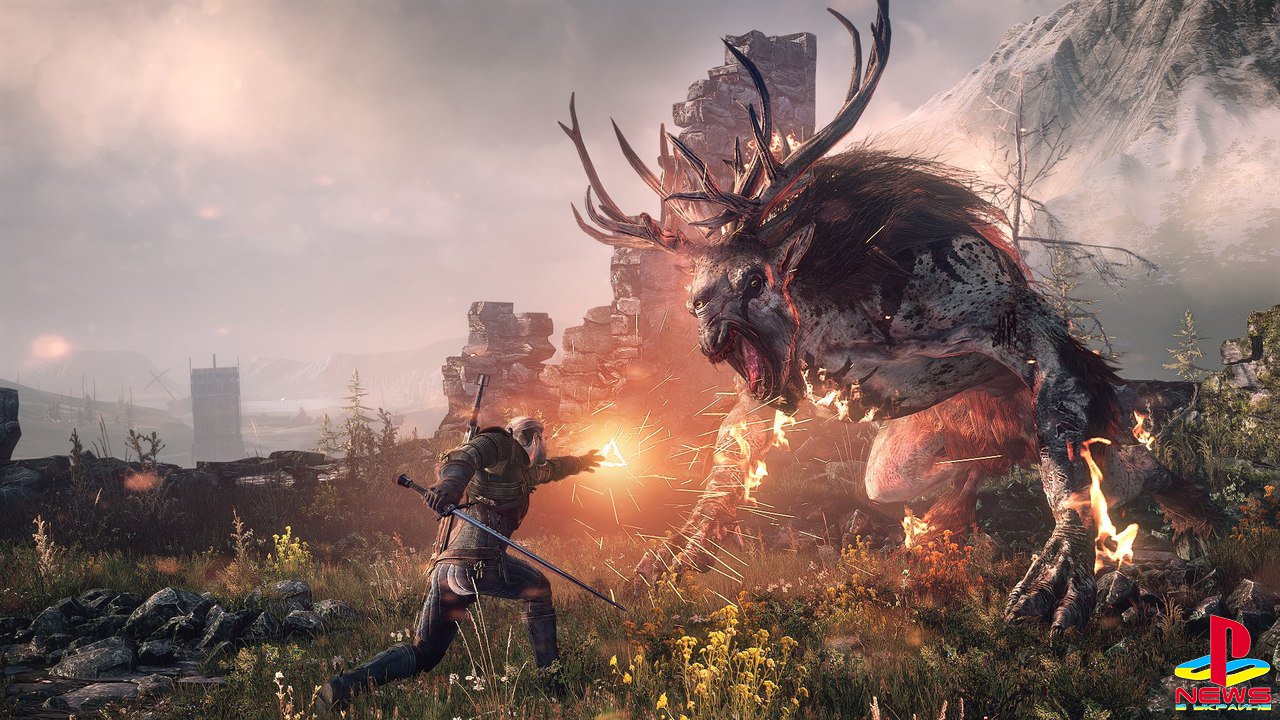 CD Projekt      The Witcher 3